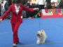 Innsbruck: Paarlaufen mit Gabi  *** paso doble avec Gabi