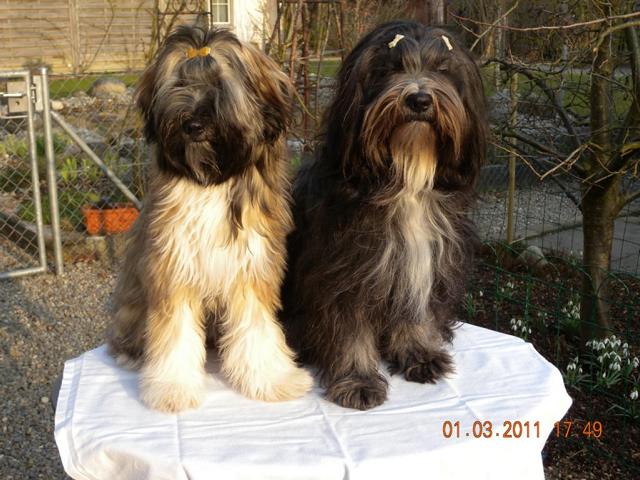 Ajara + Dakini Ajara + Dakini