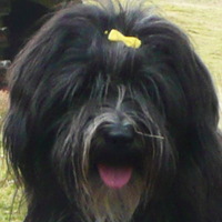Wangthang Dakini