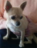 Chiu